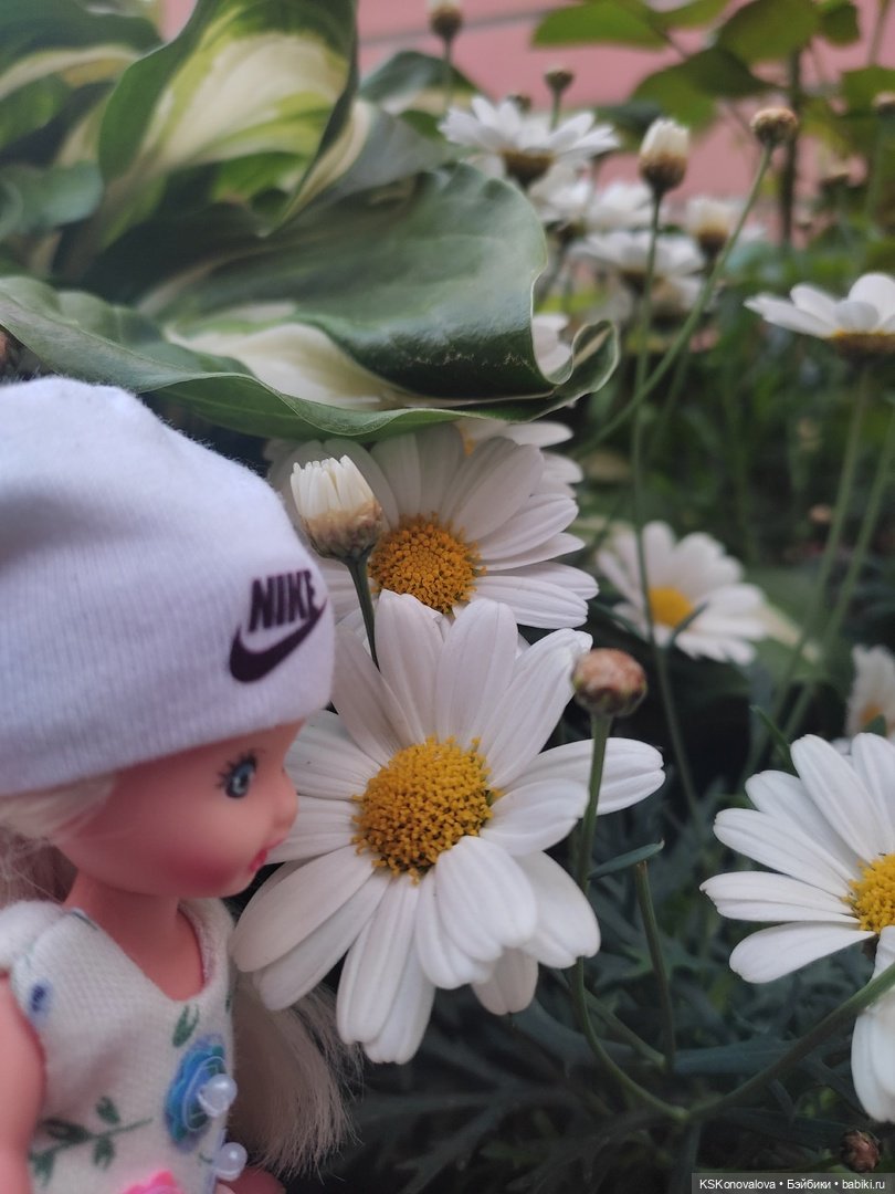 Майская ботаника (немного музыкальная) и Келли. Часть 2