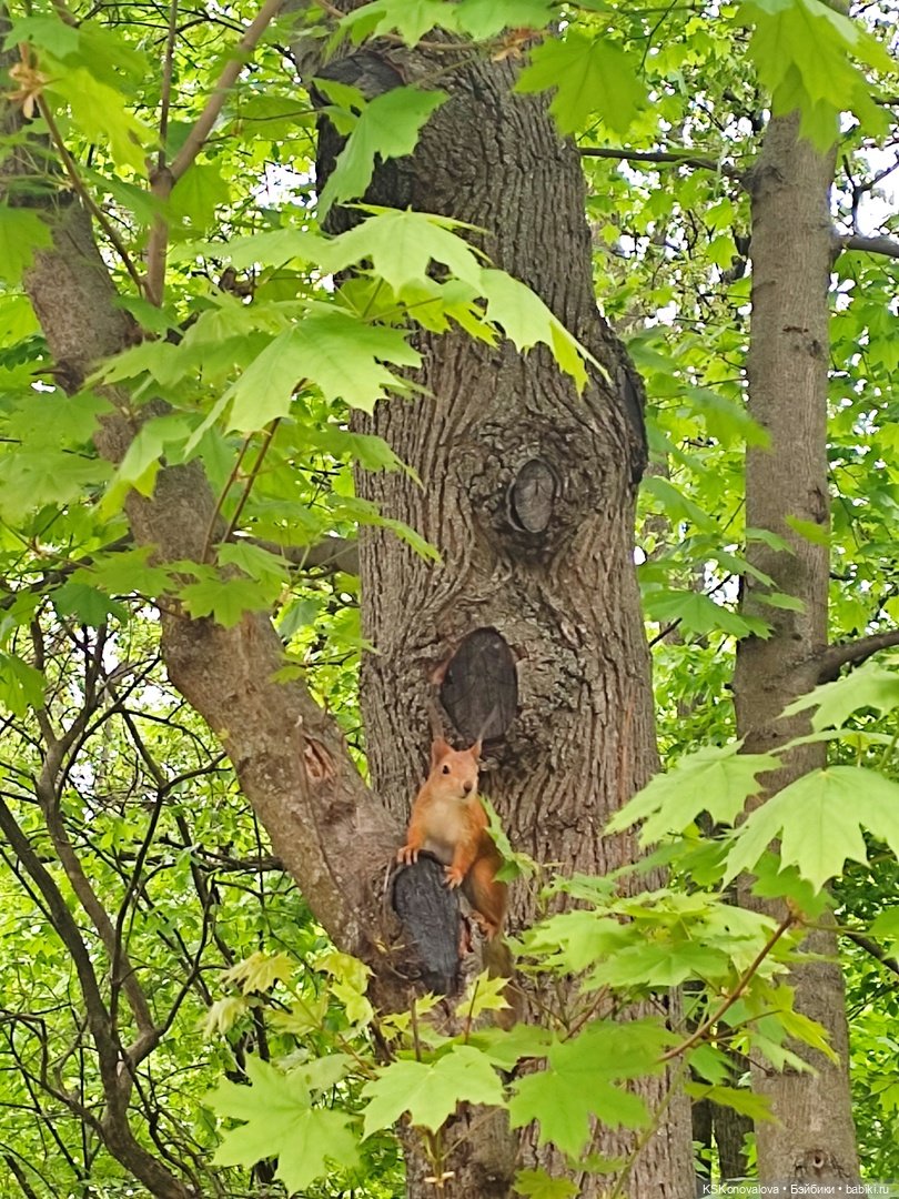 Уроки живой природы... и не только
