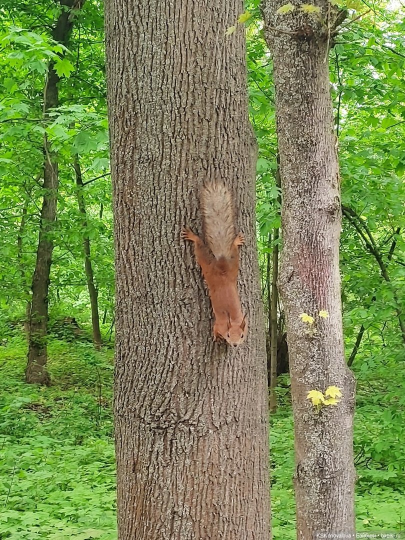 Уроки живой природы... и не только