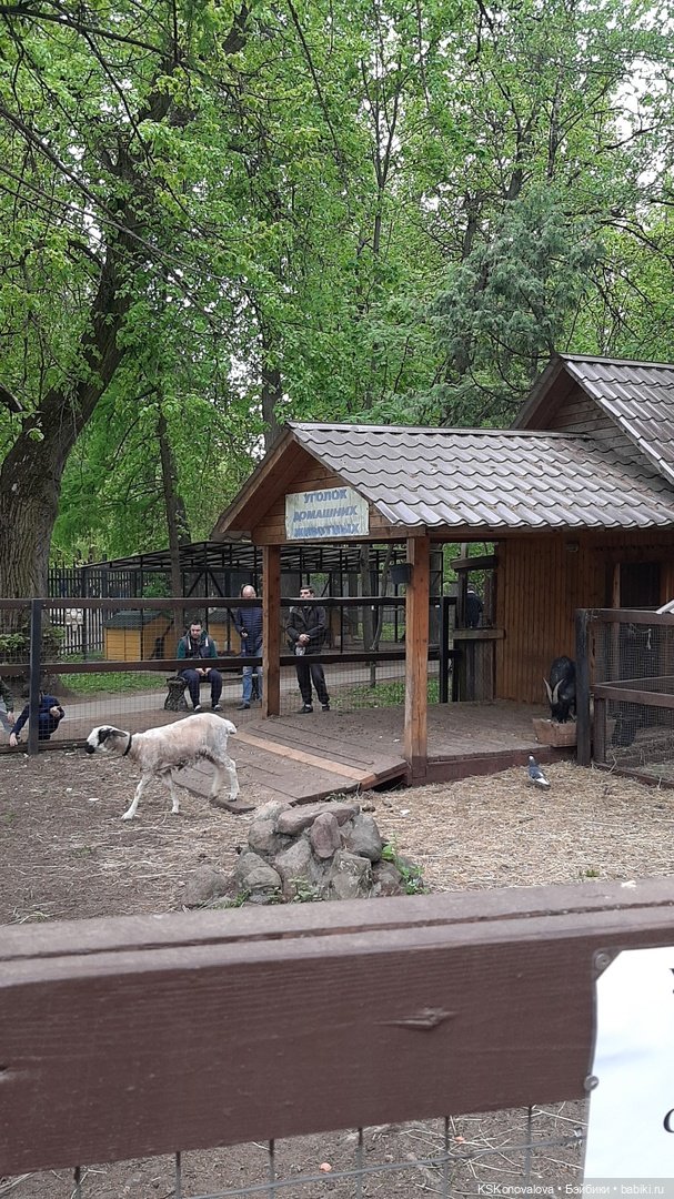 Уроки живой природы... и не только