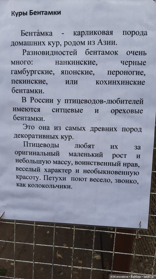 Уроки живой природы... и не только