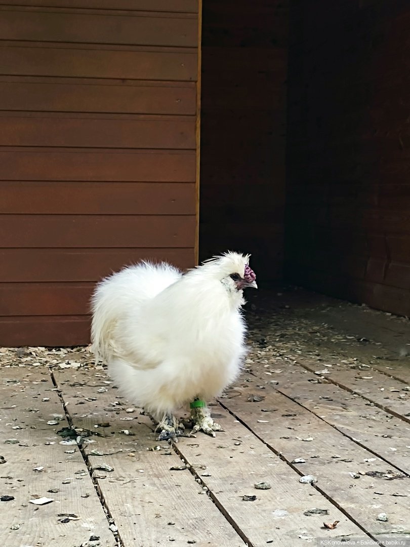 Уроки живой природы... и не только