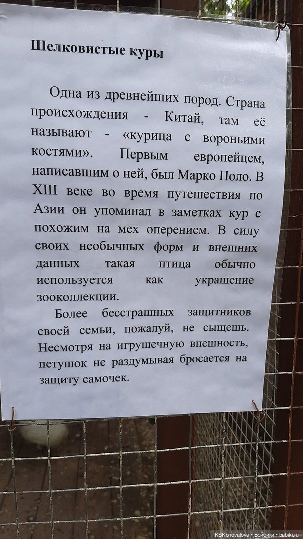 Уроки живой природы... и не только