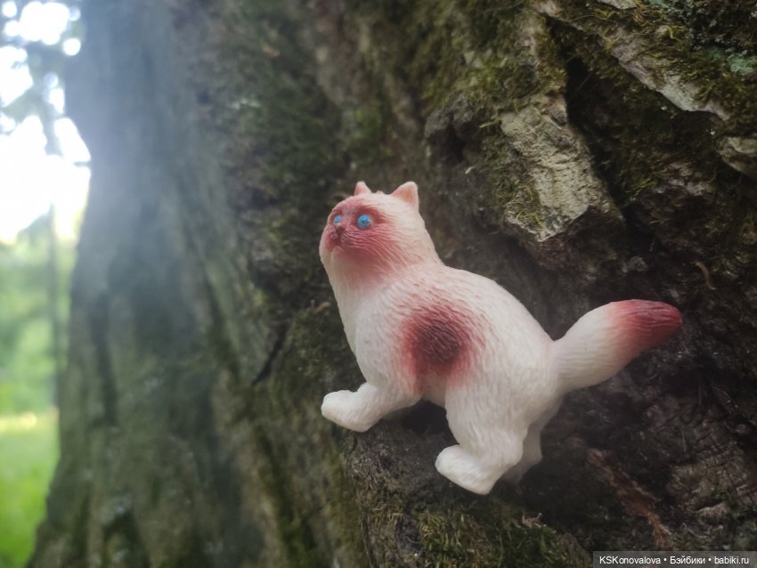 225 лет Александру Сергеевичу Пушкину. Открытие фестиваля