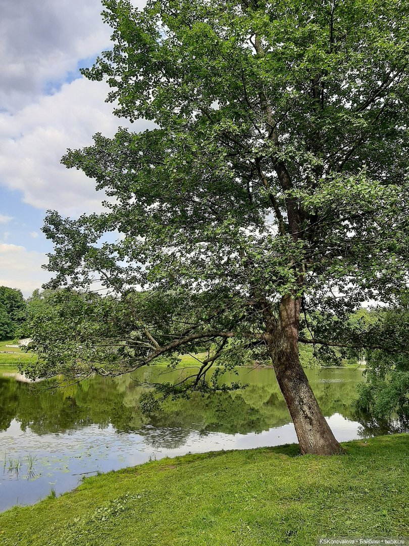 225 лет Александру Сергеевичу Пушкину. Открытие фестиваля