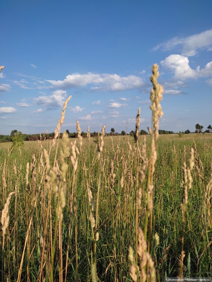 225 лет Александру Сергеевичу Пушкину. Открытие фестиваля