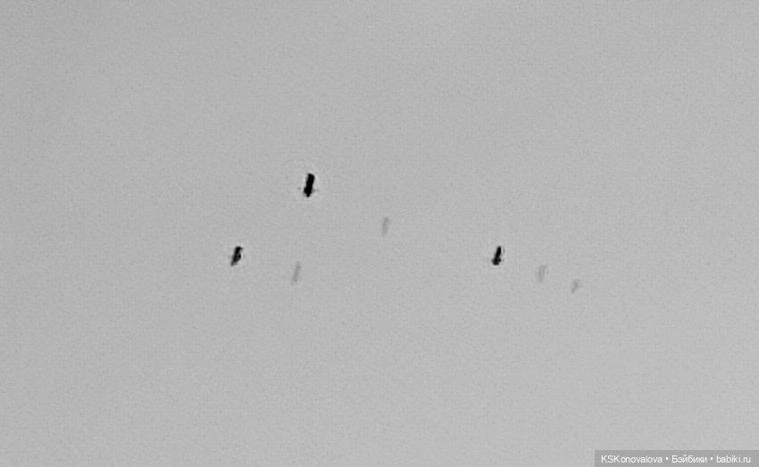 Семнадцать мгновений весны. 1 - 4 серия. Августфест 2024 (фото 2)