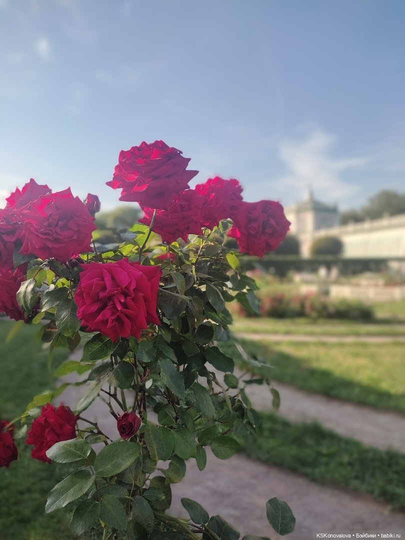 Новый год бывает разный — Культура (фото 7)