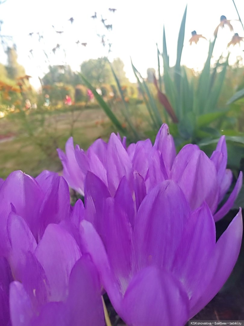 Новый год бывает разный — Культура (фото 8)