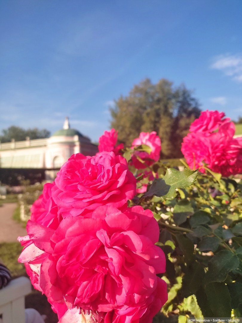 Новый год бывает разный — Культура (фото 6)