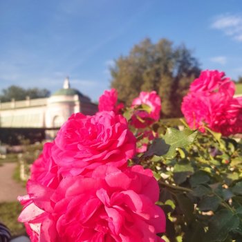 Новый год бывает разный!