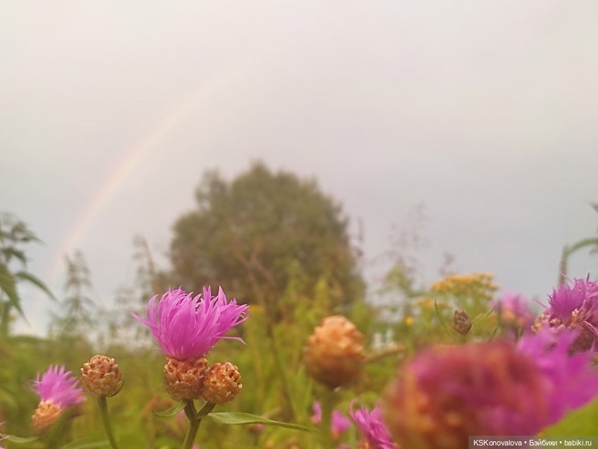 Семейный альбом. Часть первая