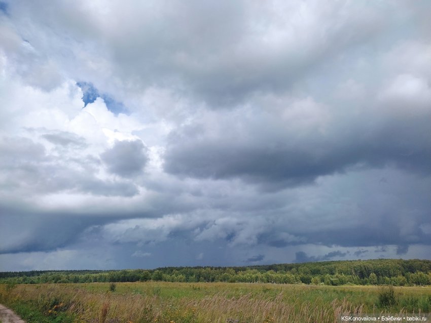 Семейный альбом. Часть первая