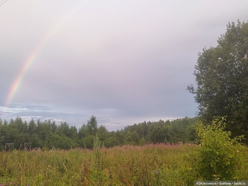 Семейный альбом. Часть первая