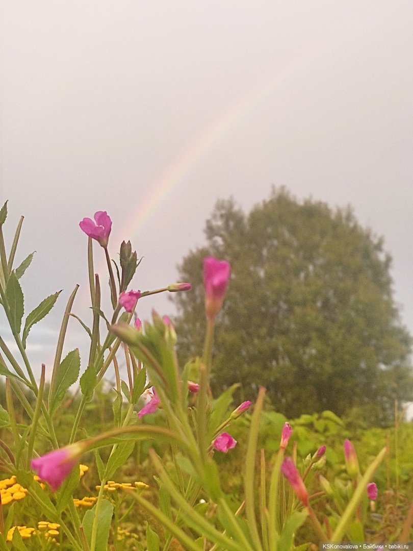 Семейный альбом. Часть первая