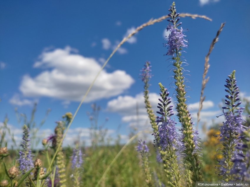 Семейный альбом. Часть первая