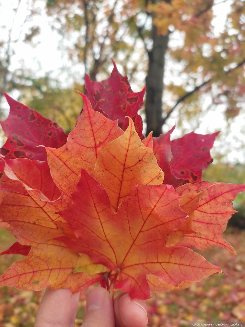 Очей очарованье | Бэйбики Очей очарованье — Куклы Barbie (Барби): Looks (фото 2)