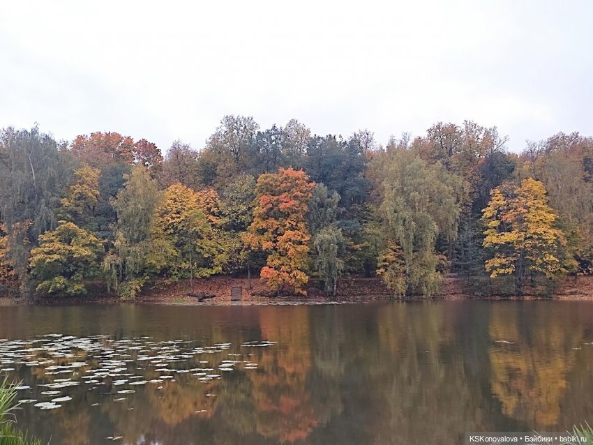 Очей очарованье | Бэйбики Очей очарованье — Куклы Barbie (Барби): Looks