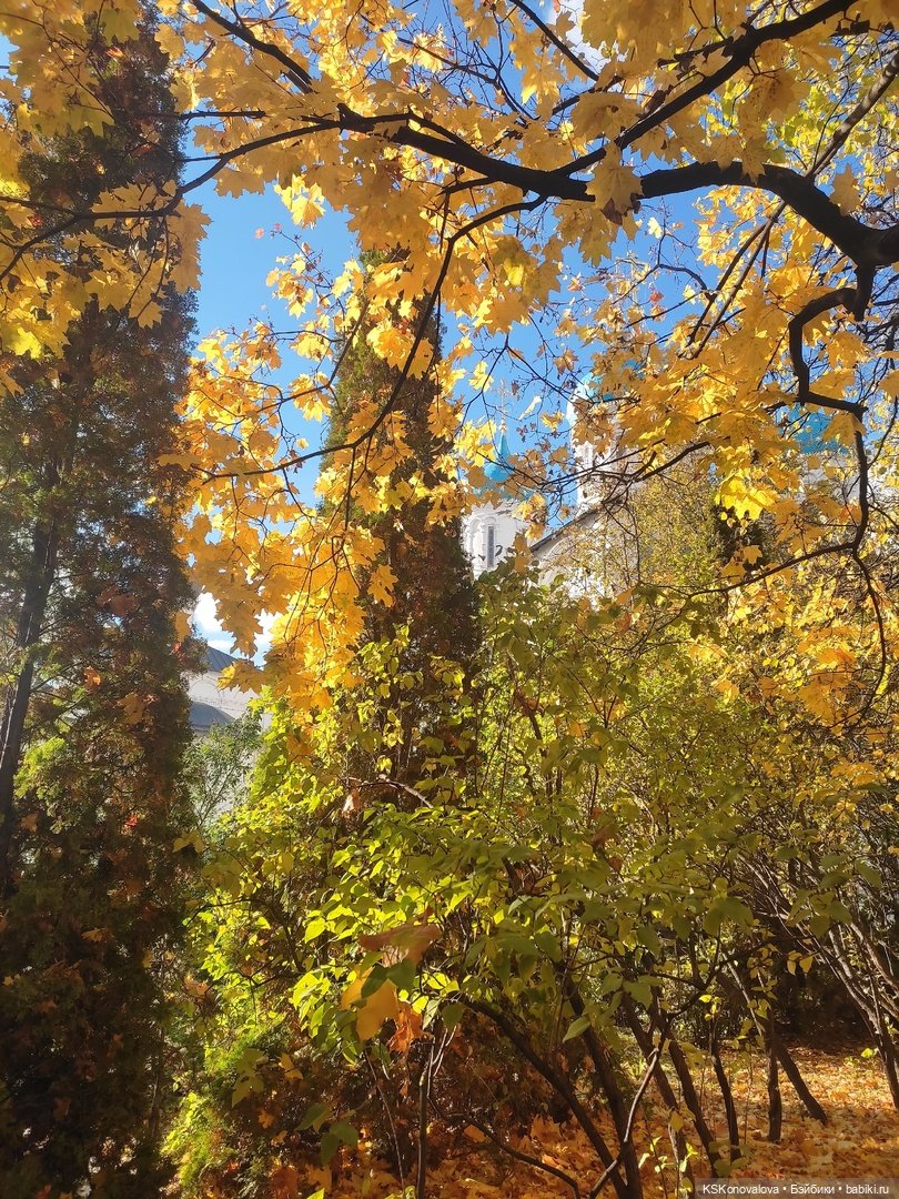 ПЕШКОМ. В 1612 — Куклы Harry Potter (Гарри Поттер) Mattel: Wizarding World