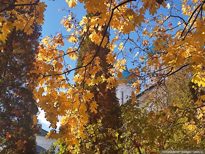 ПЕШКОМ. В 1612 — Куклы Harry Potter (Гарри Поттер) Mattel: Wizarding World