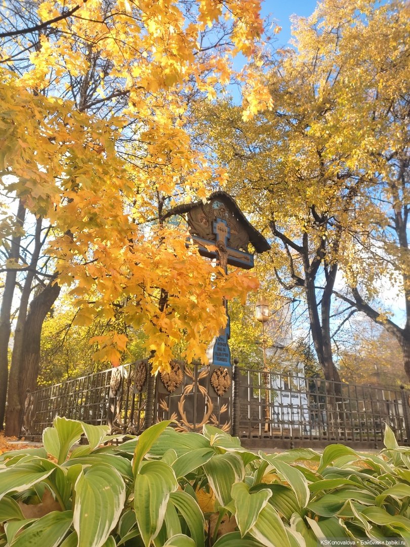 ПЕШКОМ. В 1612 — Куклы Harry Potter (Гарри Поттер) Mattel: Wizarding World