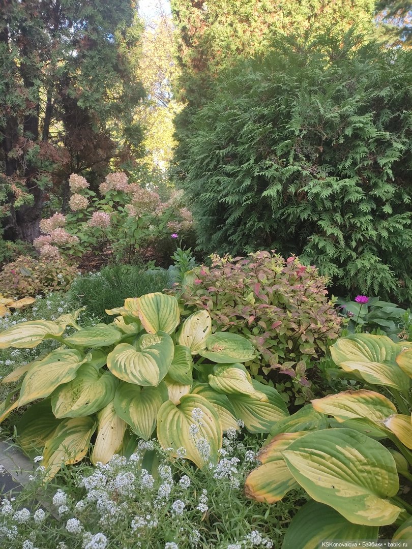 ПЕШКОМ. В 1612 — Куклы Harry Potter (Гарри Поттер) Mattel: Wizarding World