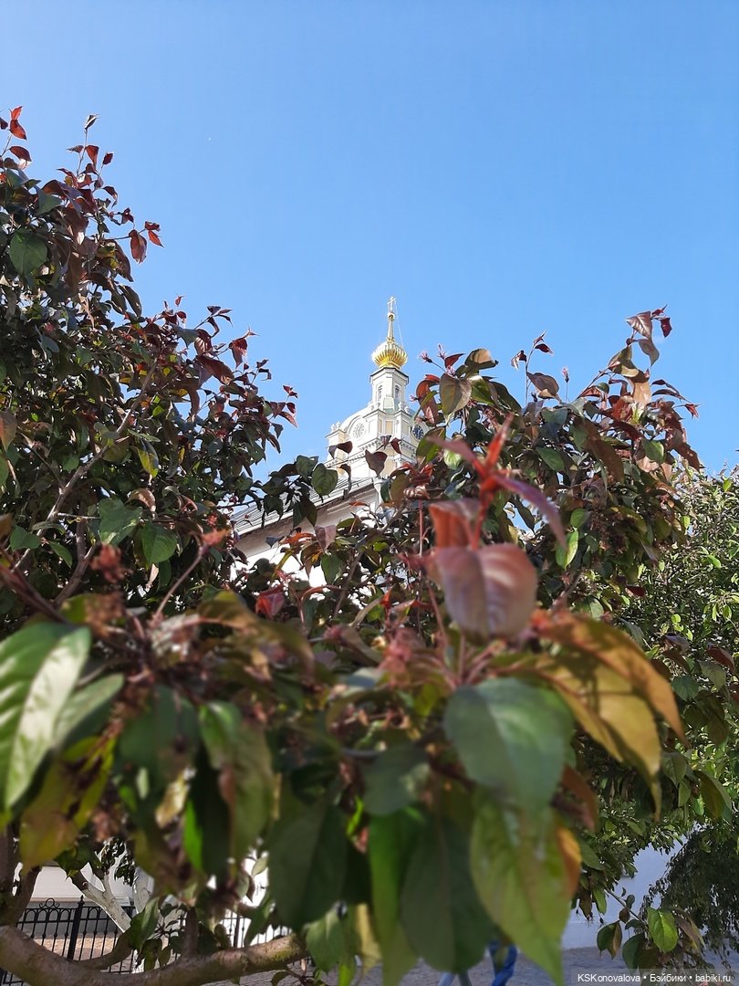 ПЕШКОМ. В 1612 — Куклы Harry Potter (Гарри Поттер) Mattel: Wizarding World