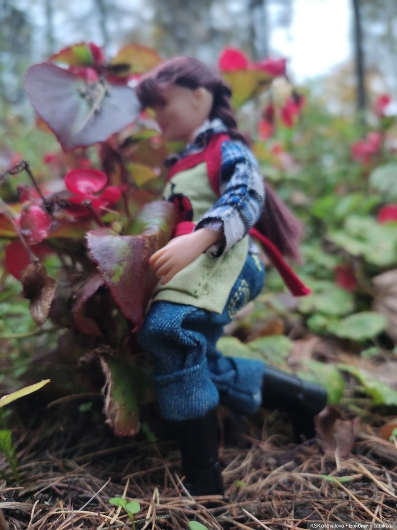 Куклы - компаньонки. Дель