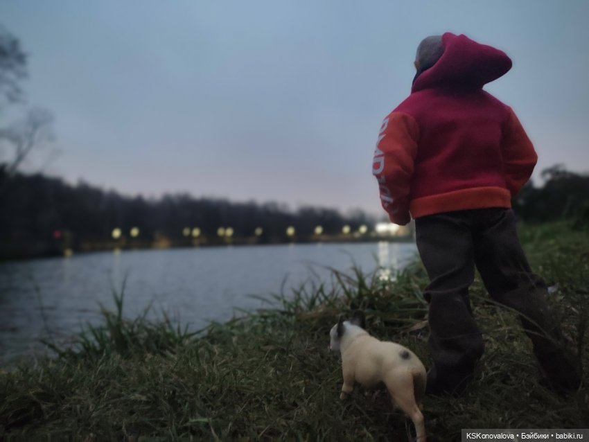 Серж Шариков — Аналоги Барби и куклы 1/6: клоны 90 (фото 9)