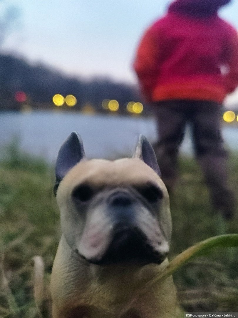 Серж Шариков — Аналоги Барби и куклы 1/6: клоны 90 (фото 8)