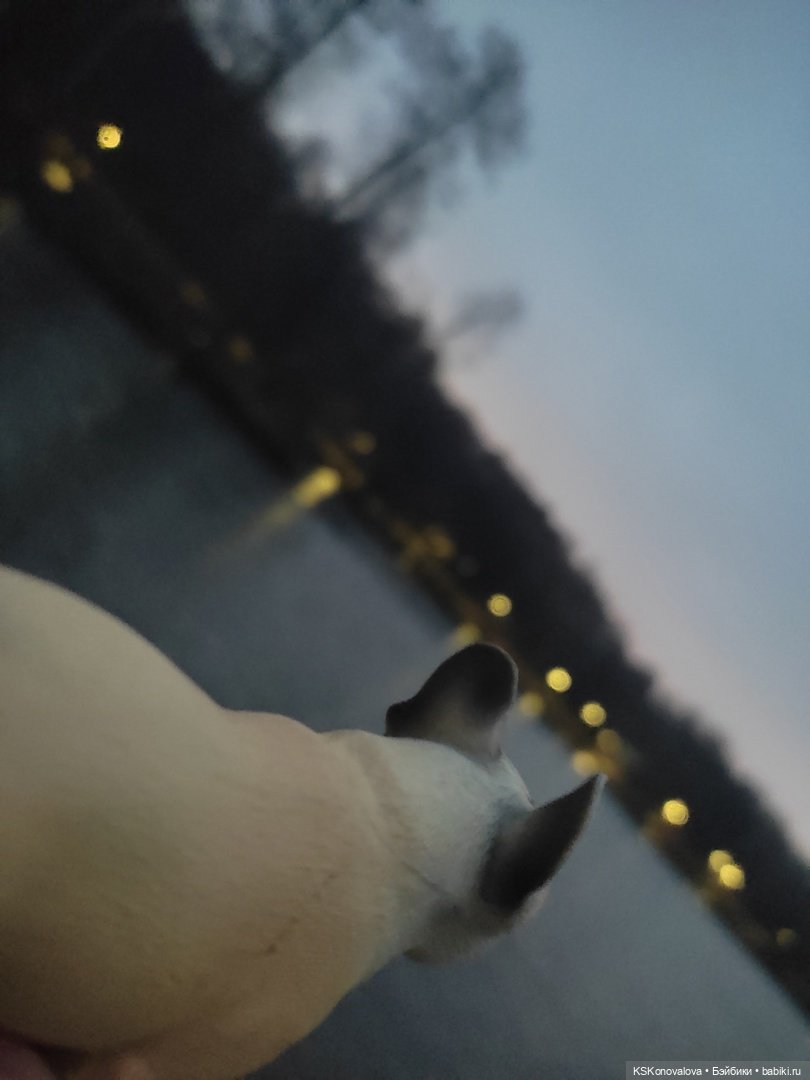 Серж Шариков — Аналоги Барби и куклы 1/6: клоны 90 (фото 6)