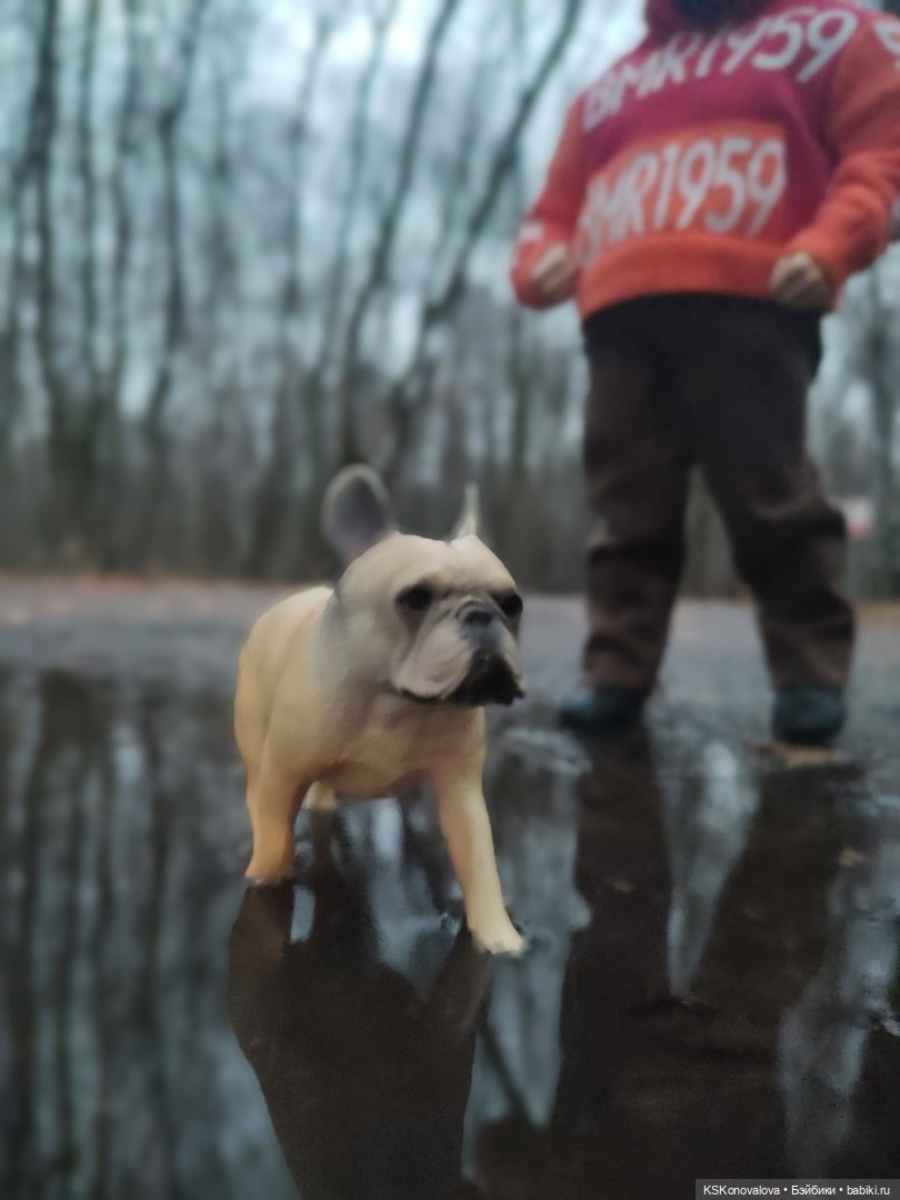 Серж Шариков — Аналоги Барби и куклы 1/6: клоны 90