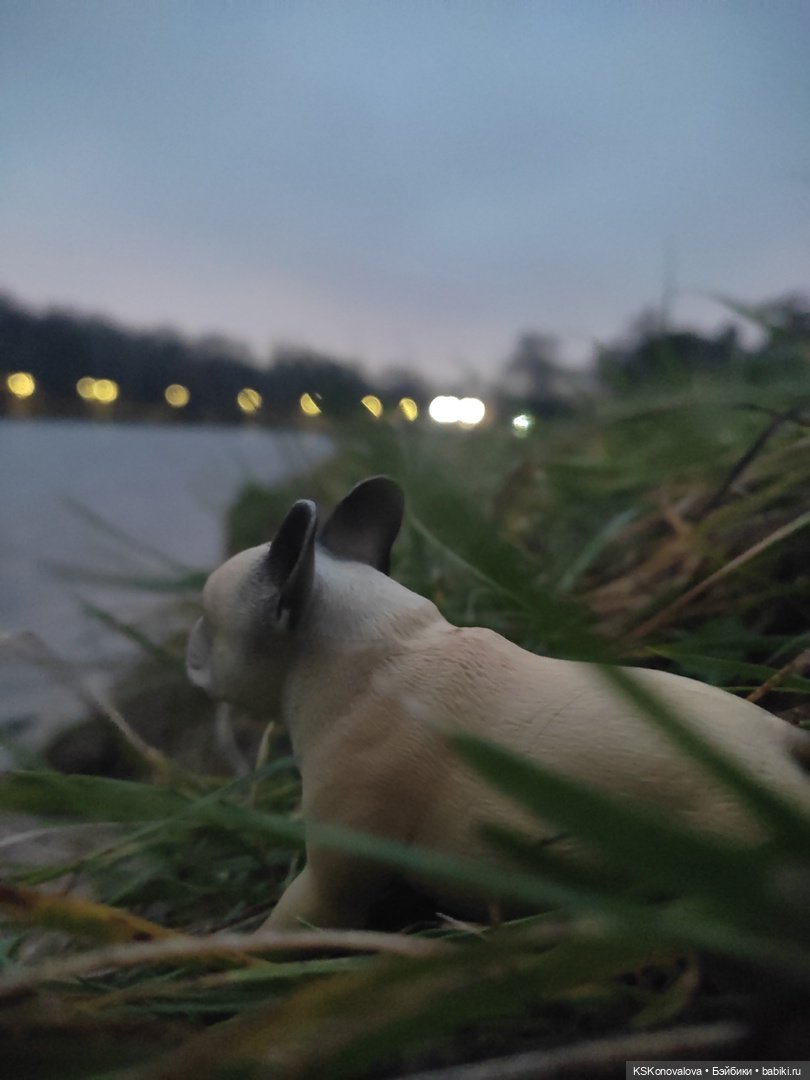 Серж Шариков — Аналоги Барби и куклы 1/6: клоны 90 (фото 7)