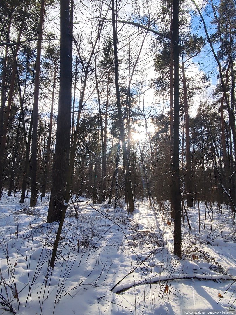 Новогодняя телепрограмма. Кинозарисовка (фото 9)
