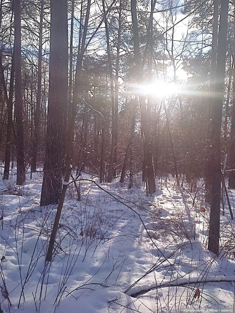 Новогодняя телепрограмма. Кинозарисовка (фото 8)