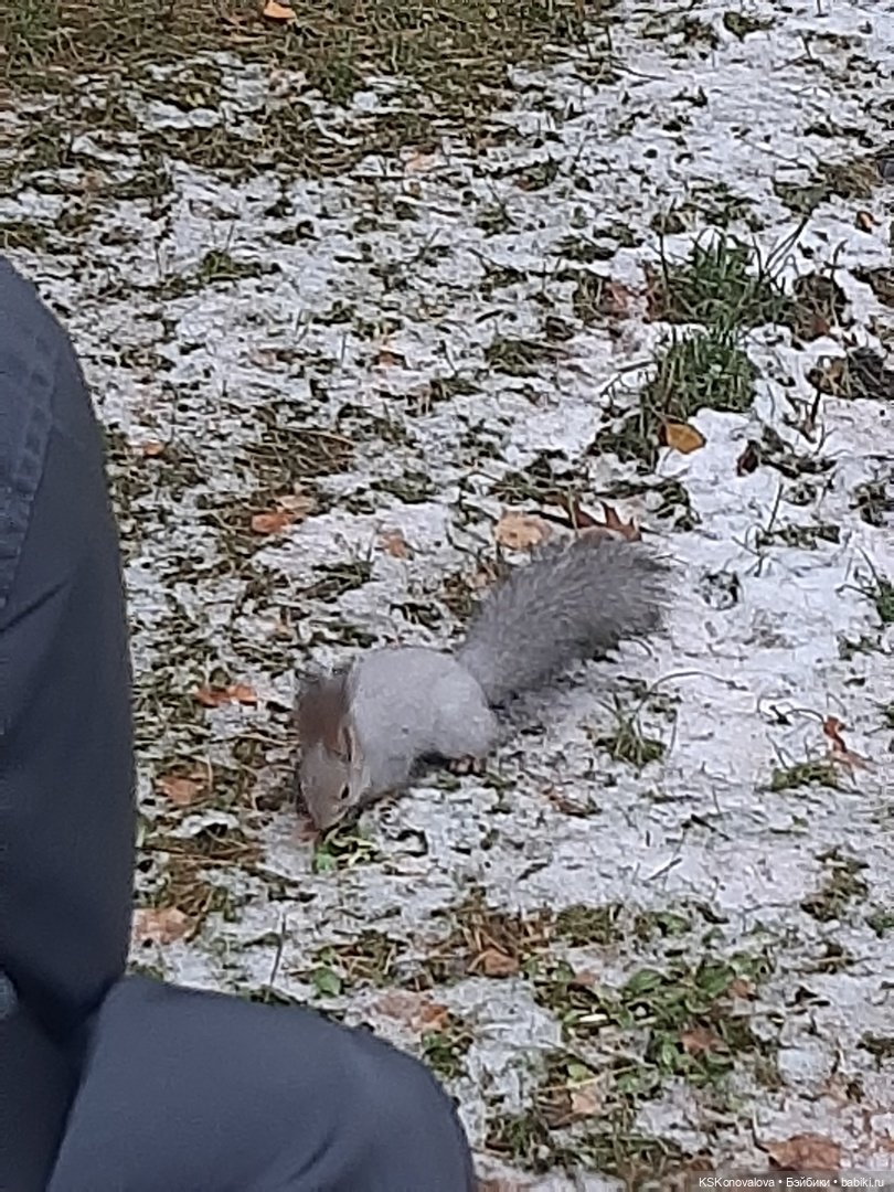 Новогодняя телепрограмма. Кинозарисовка