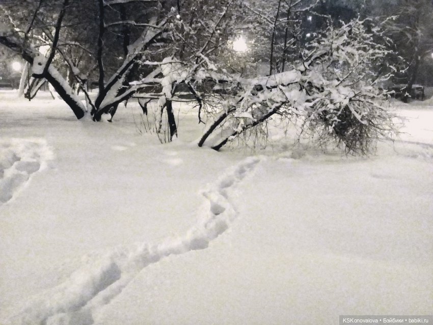 Новогодняя телепрограмма. Кинозарисовка