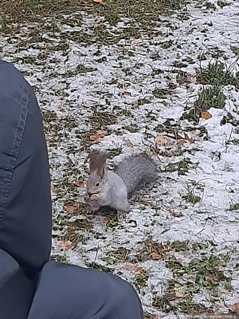 Новогодняя телепрограмма. Кинозарисовка