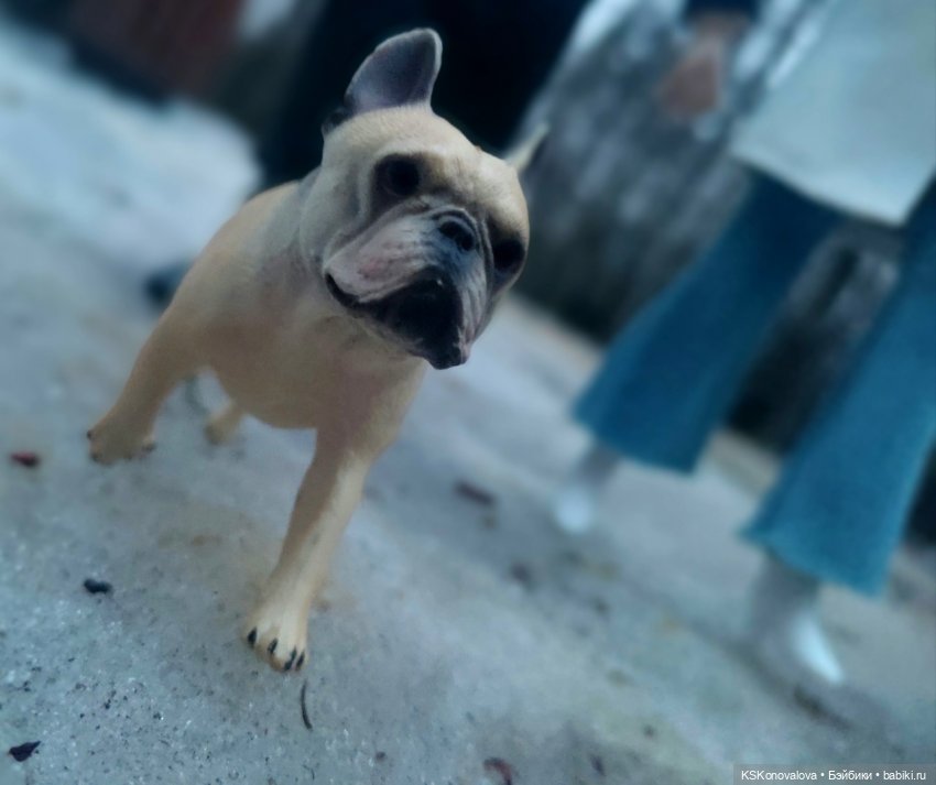 Дама с собачкой и мужик в кепке (фото 10)