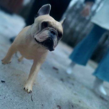 Дама с собачкой и мужик в кепке