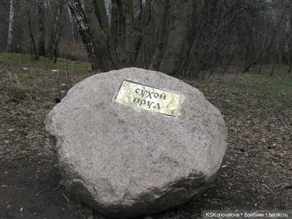 Буколька и странный февраль (фото 4)