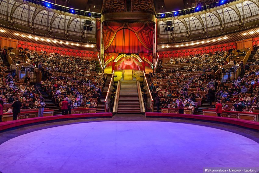 ПЕШКОМ. Цирк в Москве — Куклы Harry Potter (Гарри Поттер) Mattel: Wizarding World