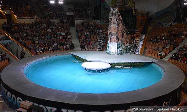 ПЕШКОМ. Цирк в Москве — Куклы Harry Potter (Гарри Поттер) Mattel: Wizarding World