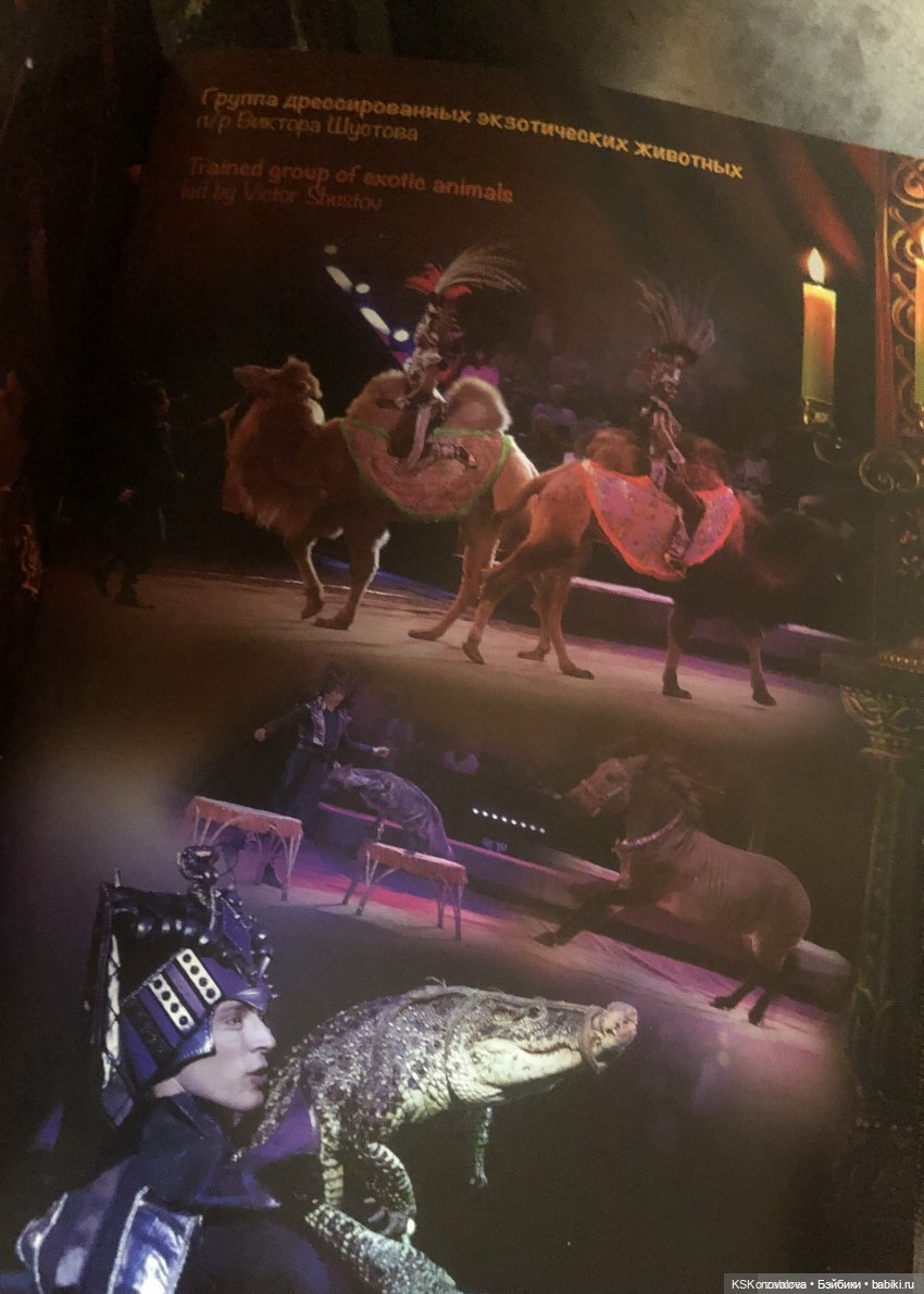 ПЕШКОМ. Цирк в Москве — Куклы Harry Potter (Гарри Поттер) Mattel: Wizarding World