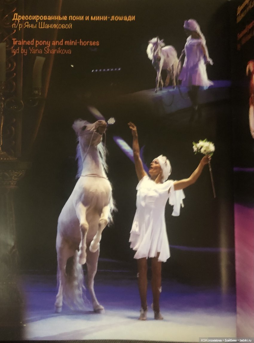 ПЕШКОМ. Цирк в Москве — Куклы Harry Potter (Гарри Поттер) Mattel: Wizarding World