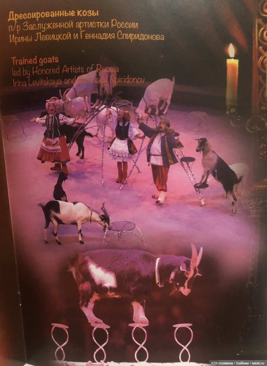 ПЕШКОМ. Цирк в Москве — Куклы Harry Potter (Гарри Поттер) Mattel: Wizarding World