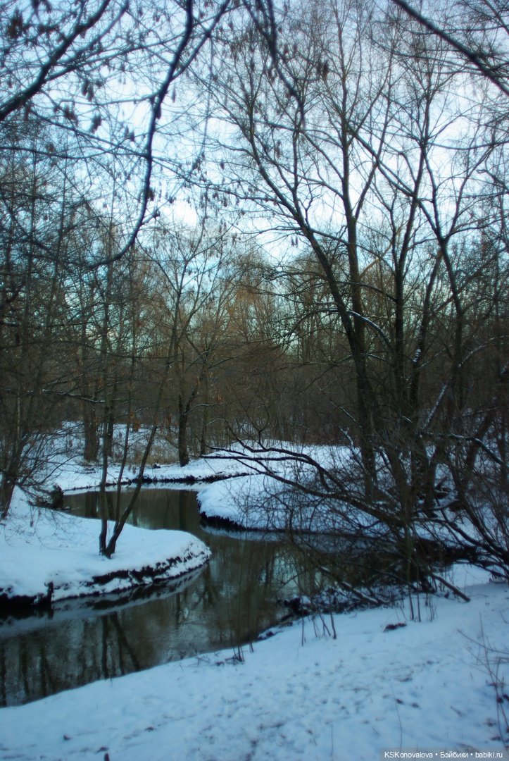 Семейный альбом. Лыжню предпенсионерам