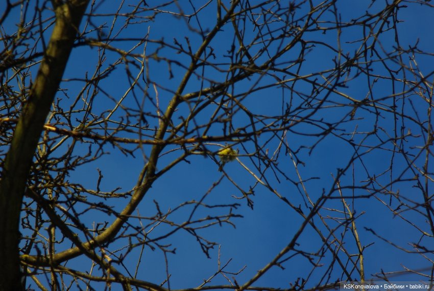 Семейный альбом. Лыжню предпенсионерам
