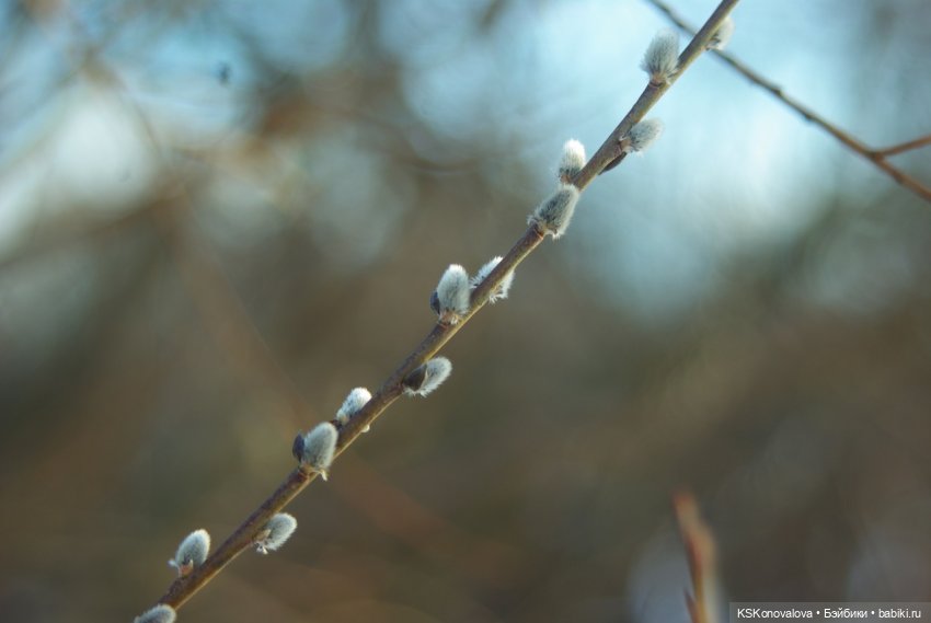 Семейный альбом. Лыжню предпенсионерам