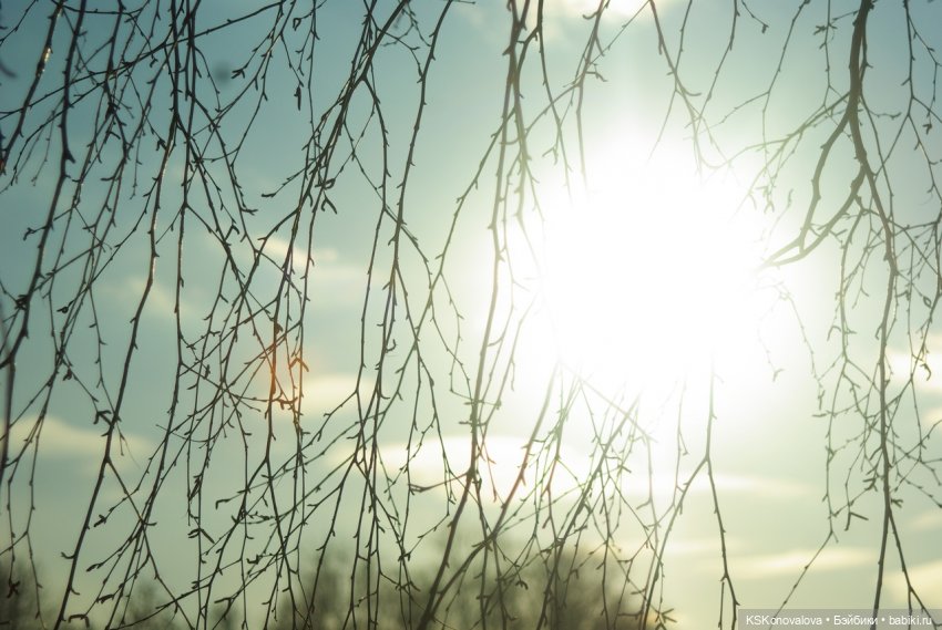 Семейный альбом. Лыжню предпенсионерам